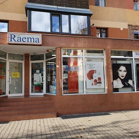 Raema Cetate Apartament Lägenhet Alba Iulia Exteriör bild
